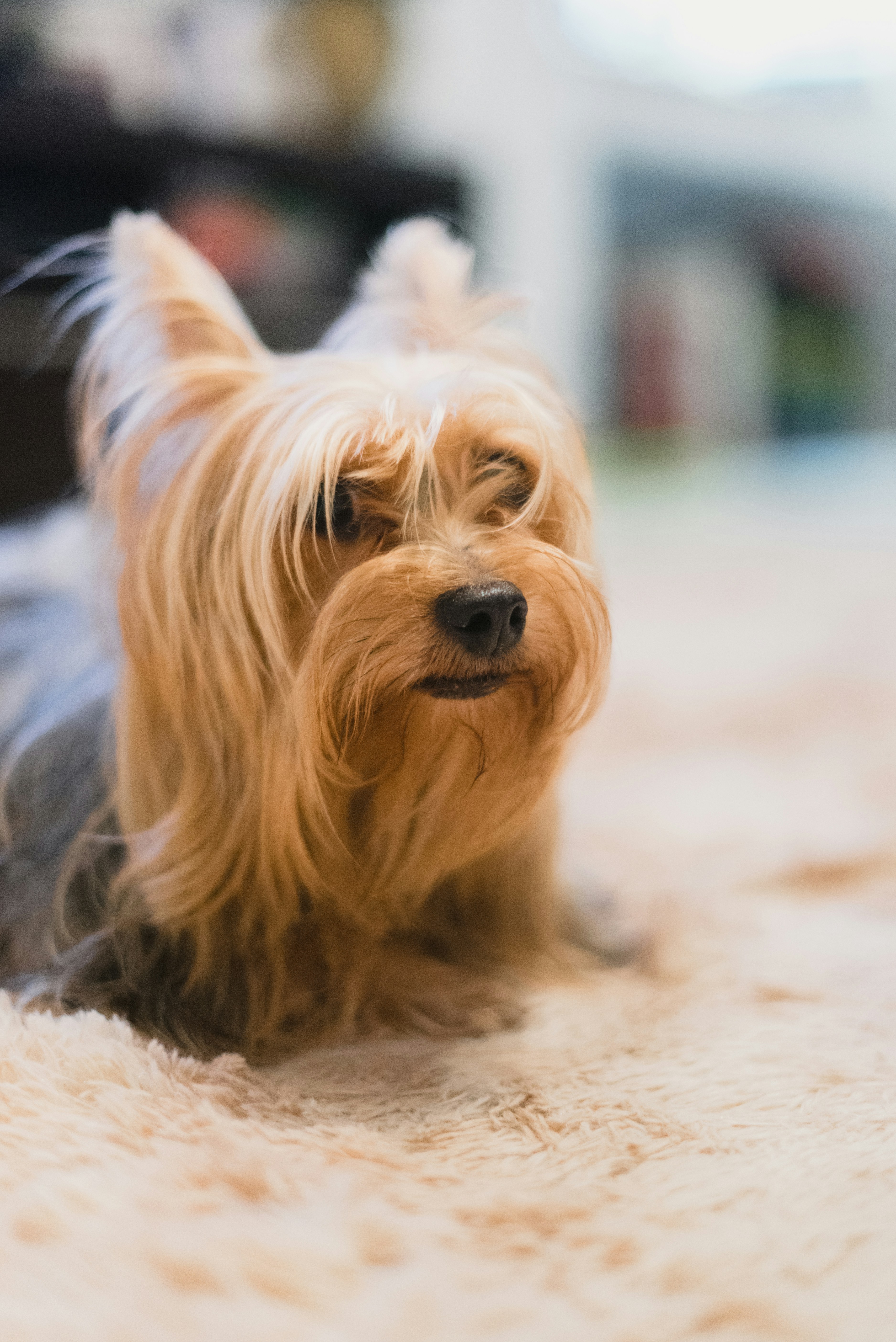 Photo by nathanielyeo