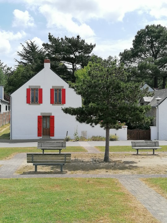 green tree beside gray wooden bench in Mesquer France