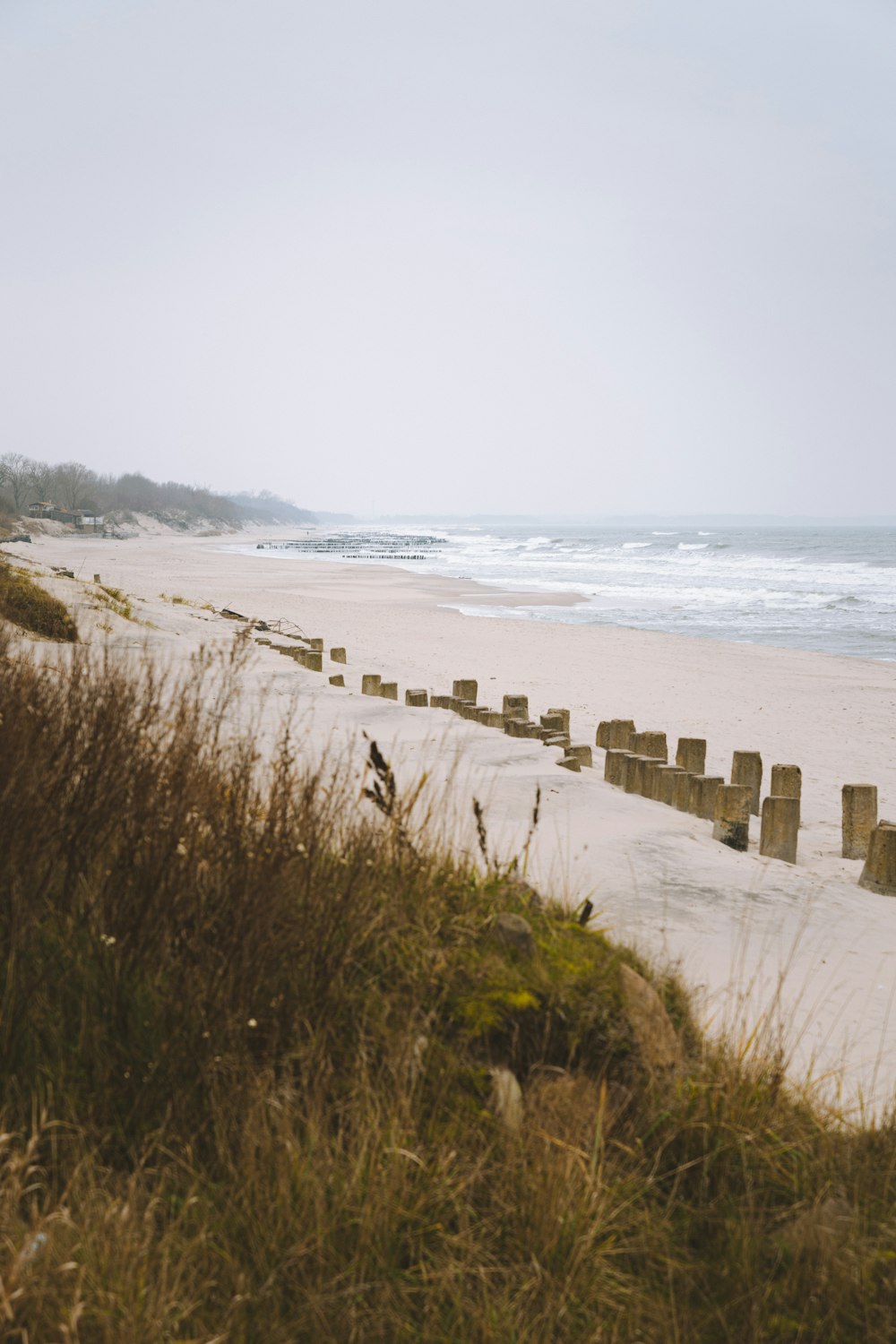 wood logs on shore under white sky