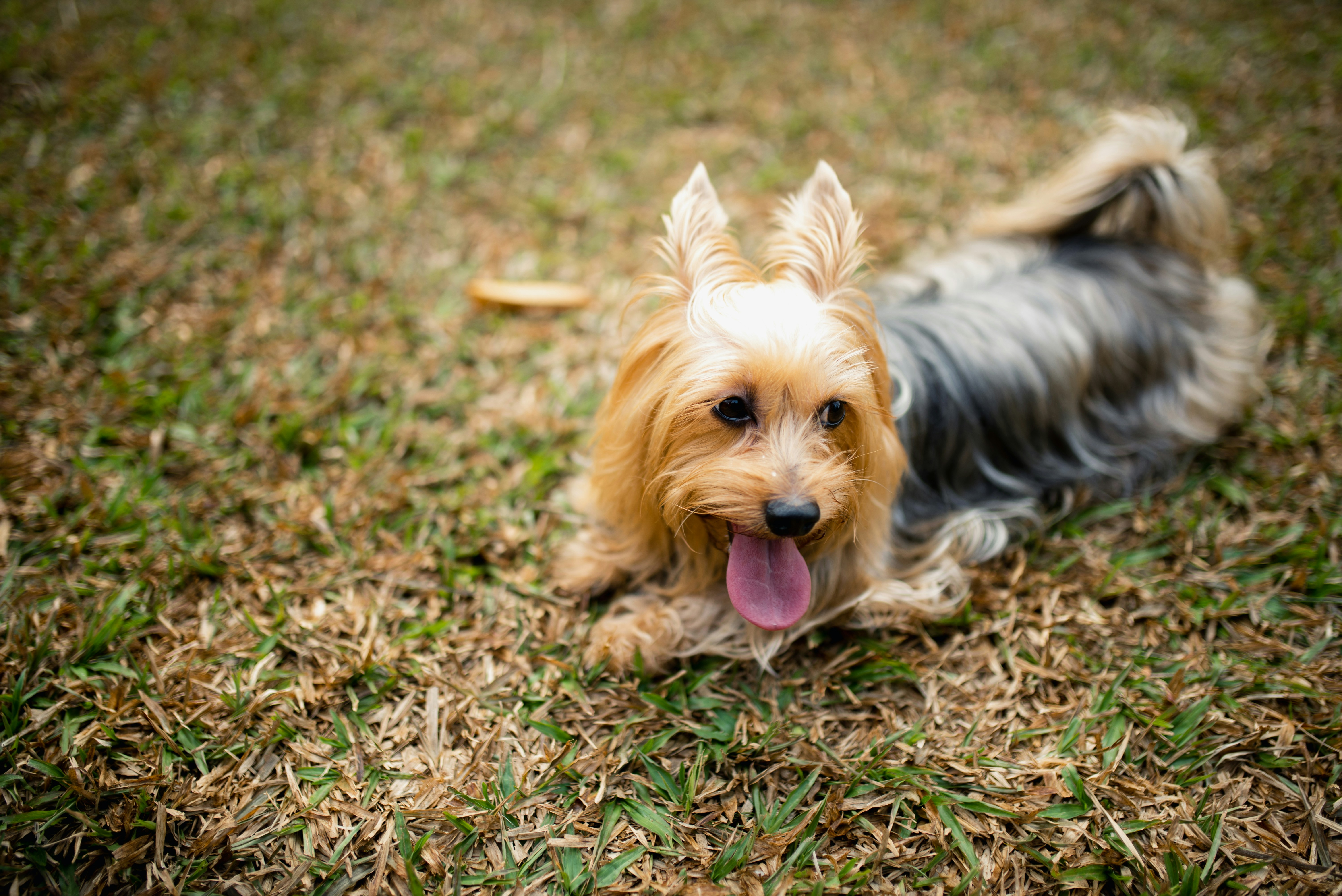 Photo by nathanielyeo