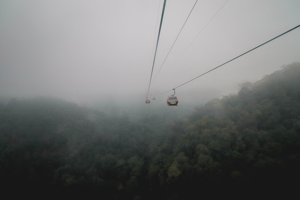 funivia sopra gli alberi