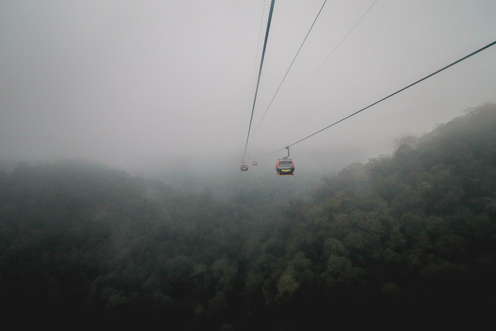 cable car over trees