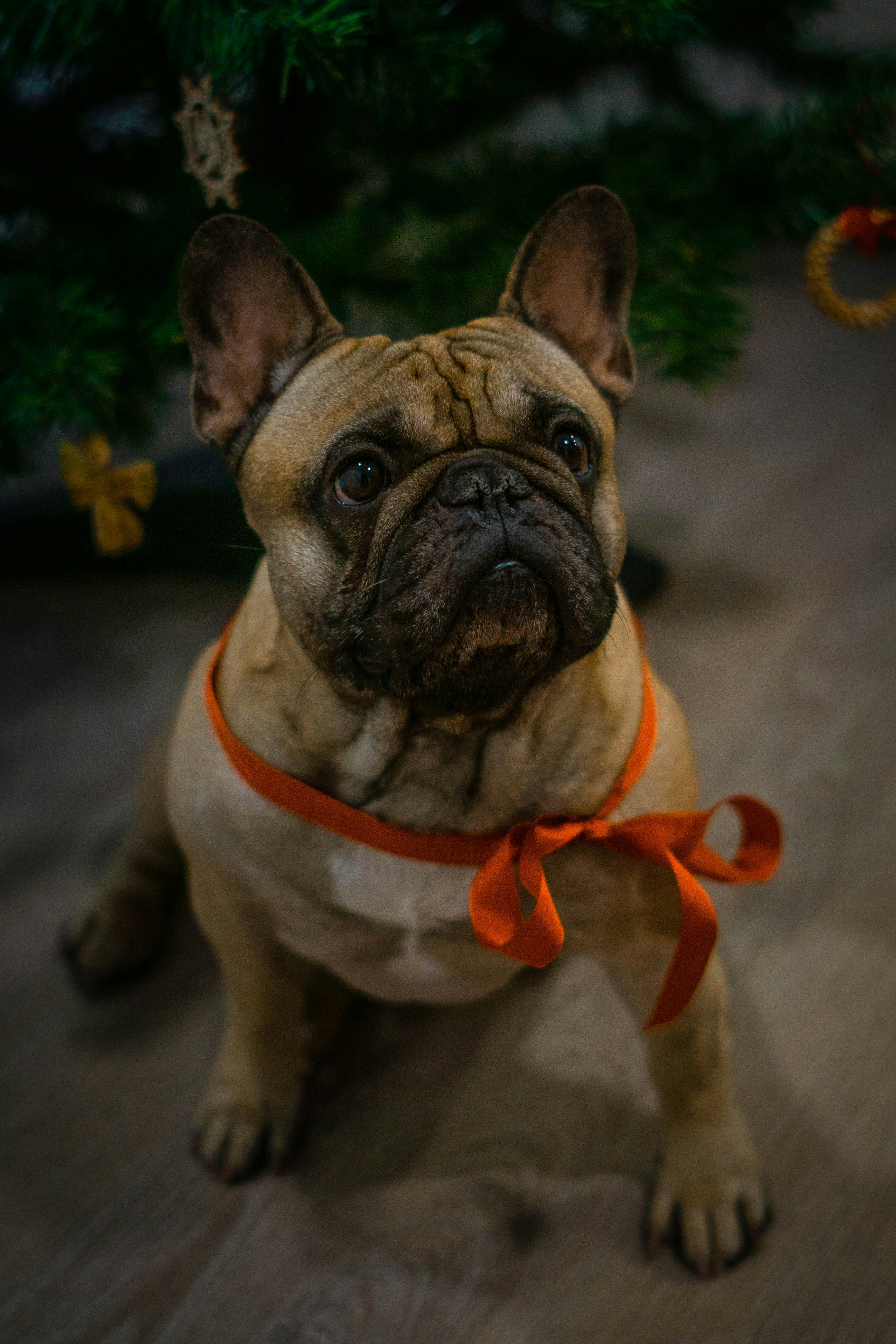 Photo by davidbenesph