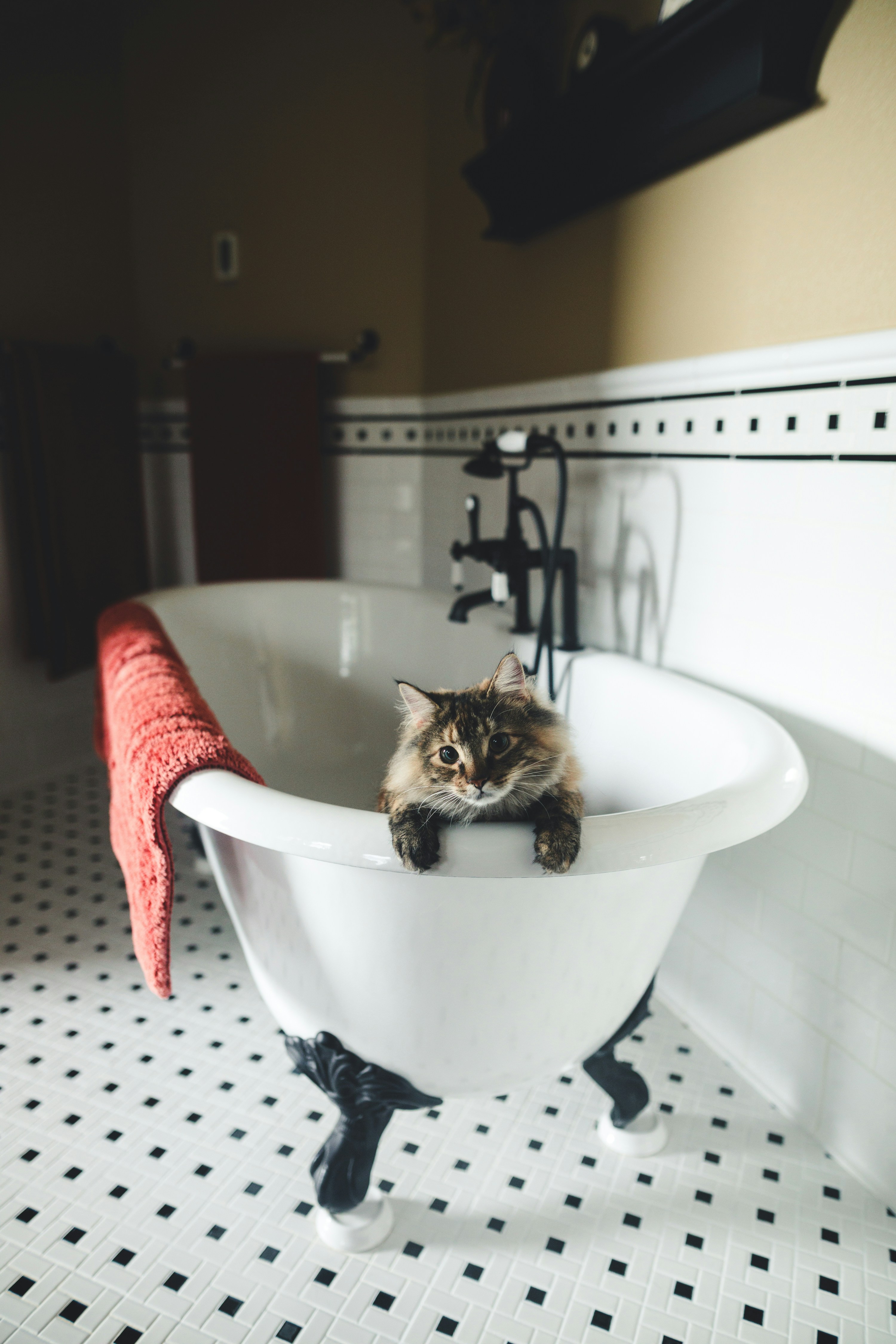 Bathtub Repair