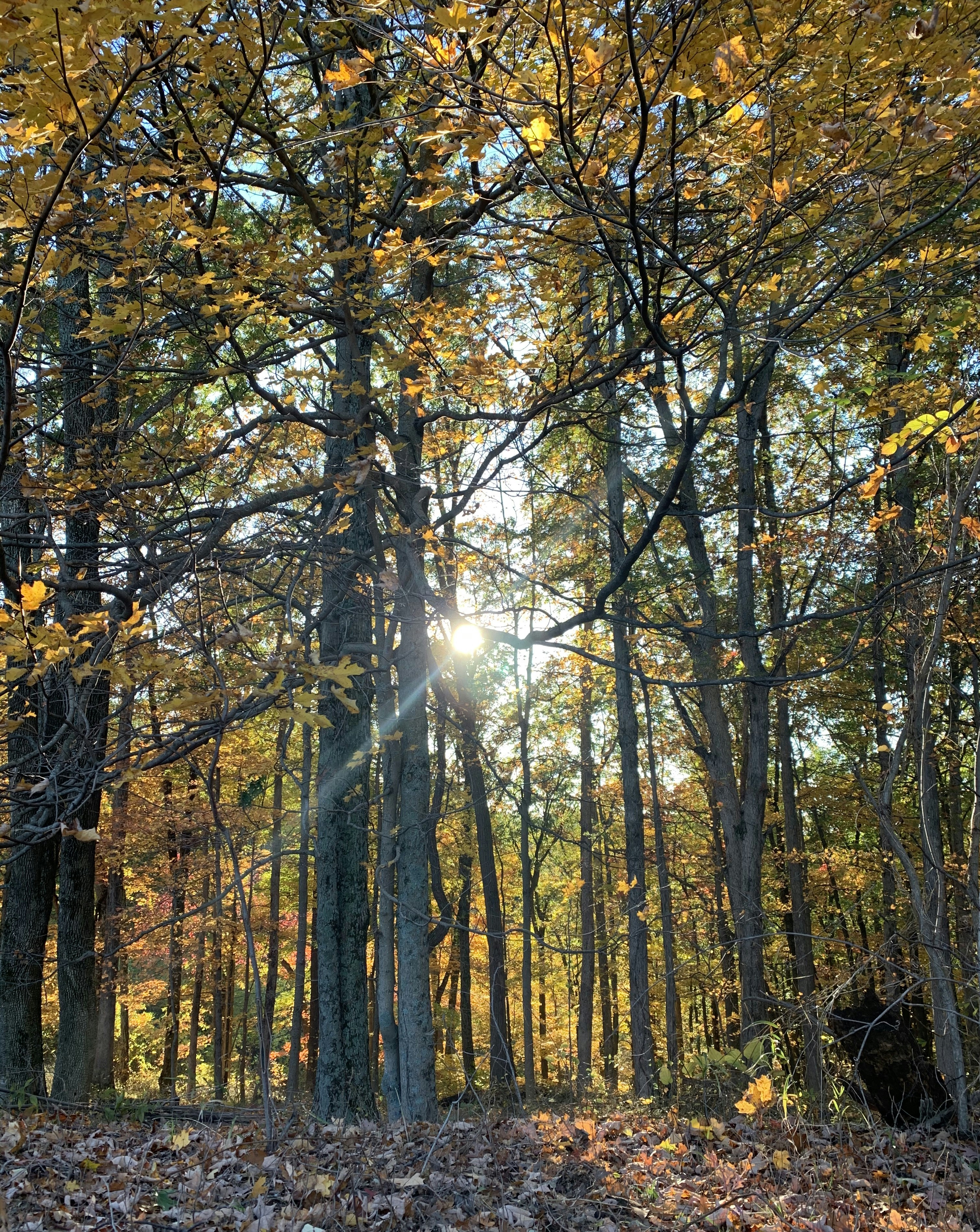 Photo by ulimwengumrembo