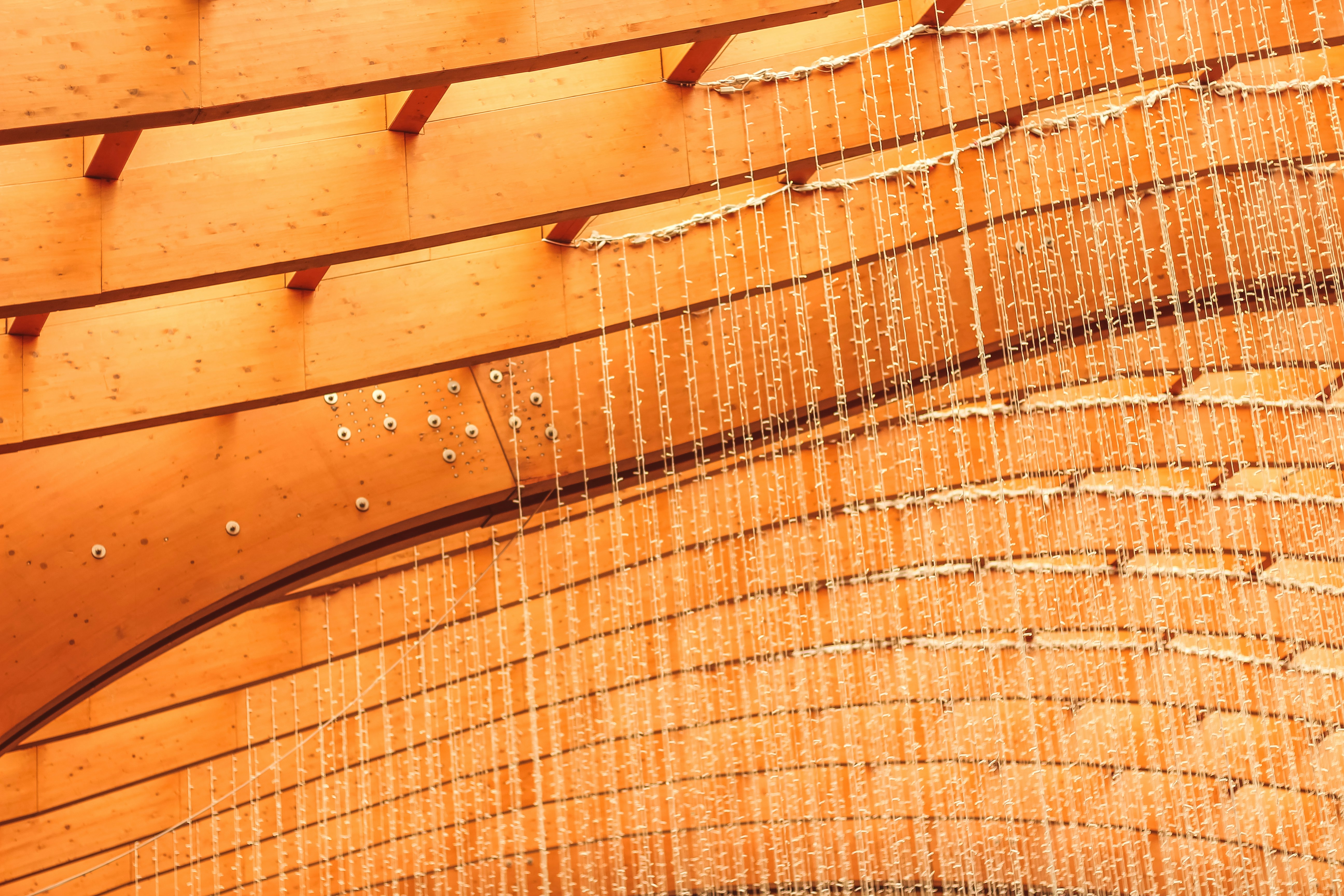 Photo by igorrodrigues