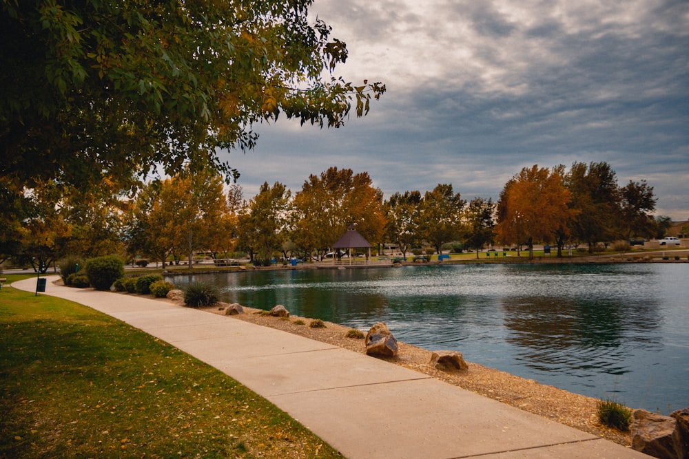 photography of empty walkway beside body of water and trees during daytime