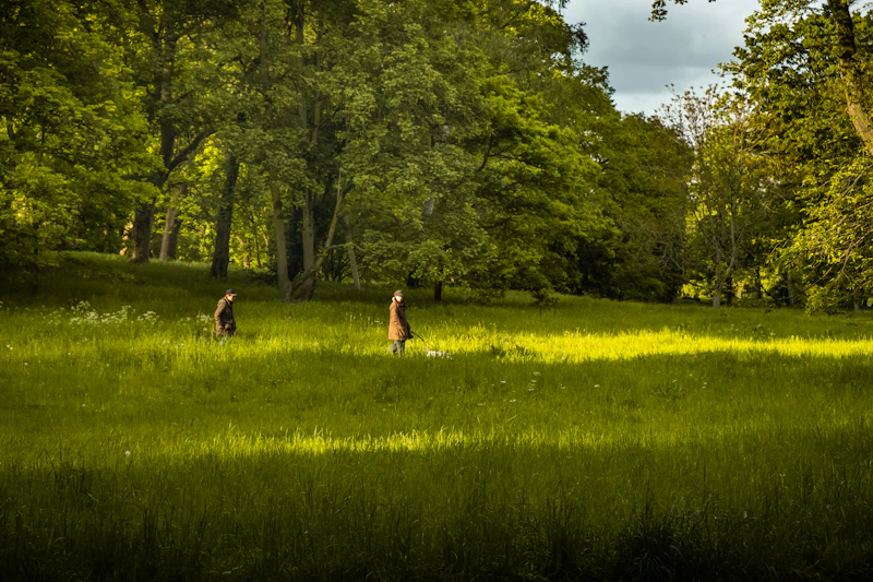 Best Eco-Friendly Resorts and Sustainable Stays in Dusseldorf