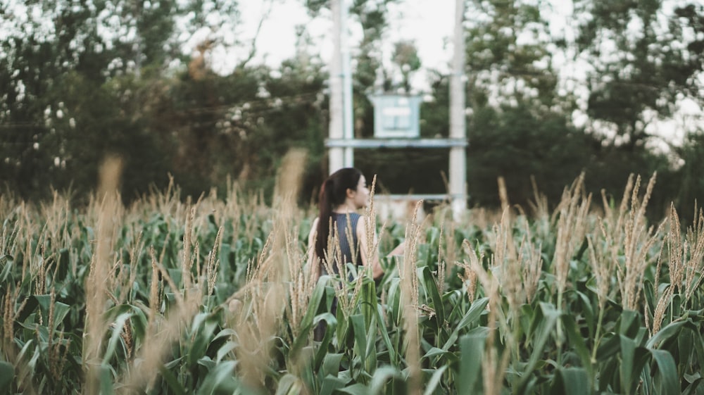femme debout sur un champ de maïs vert entouré d’arbres verts pendant la journée