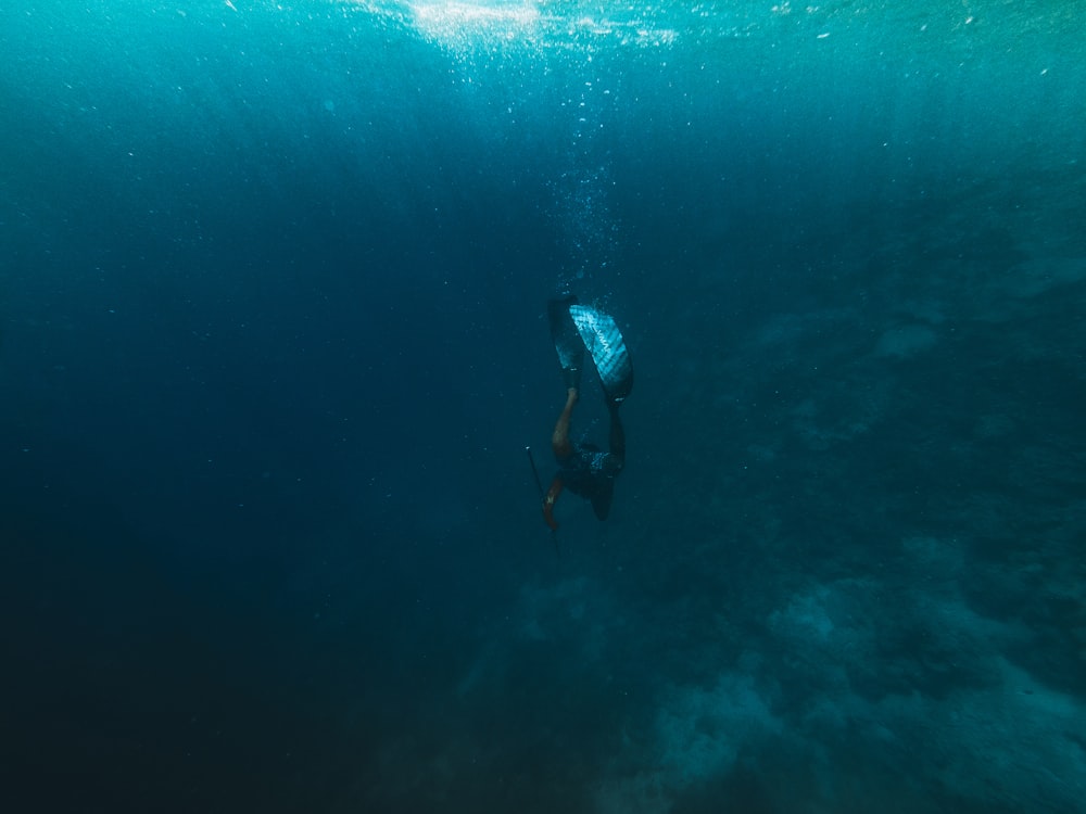 person scuba diving