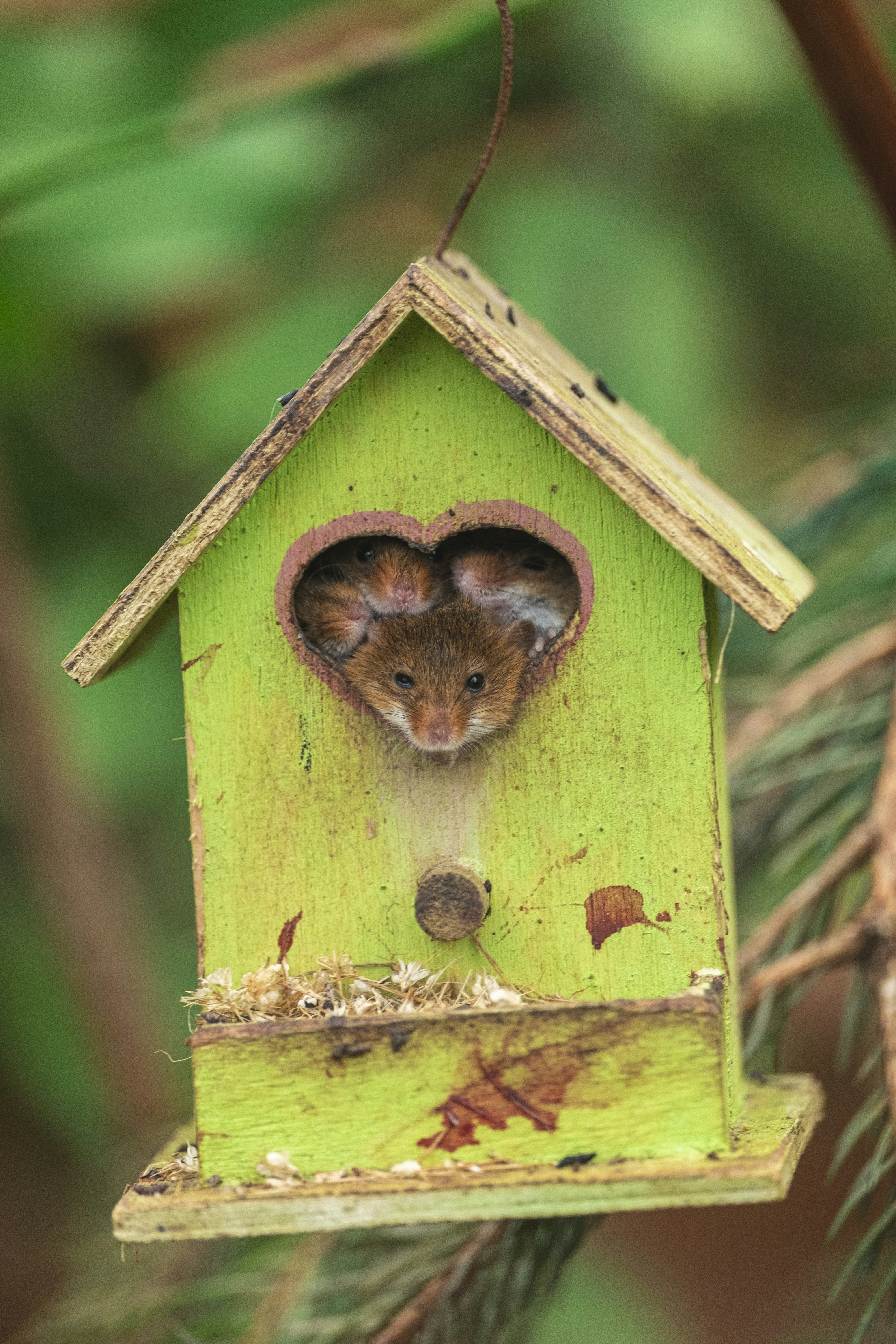 Safe Havens at Home (image credits: unsplash)