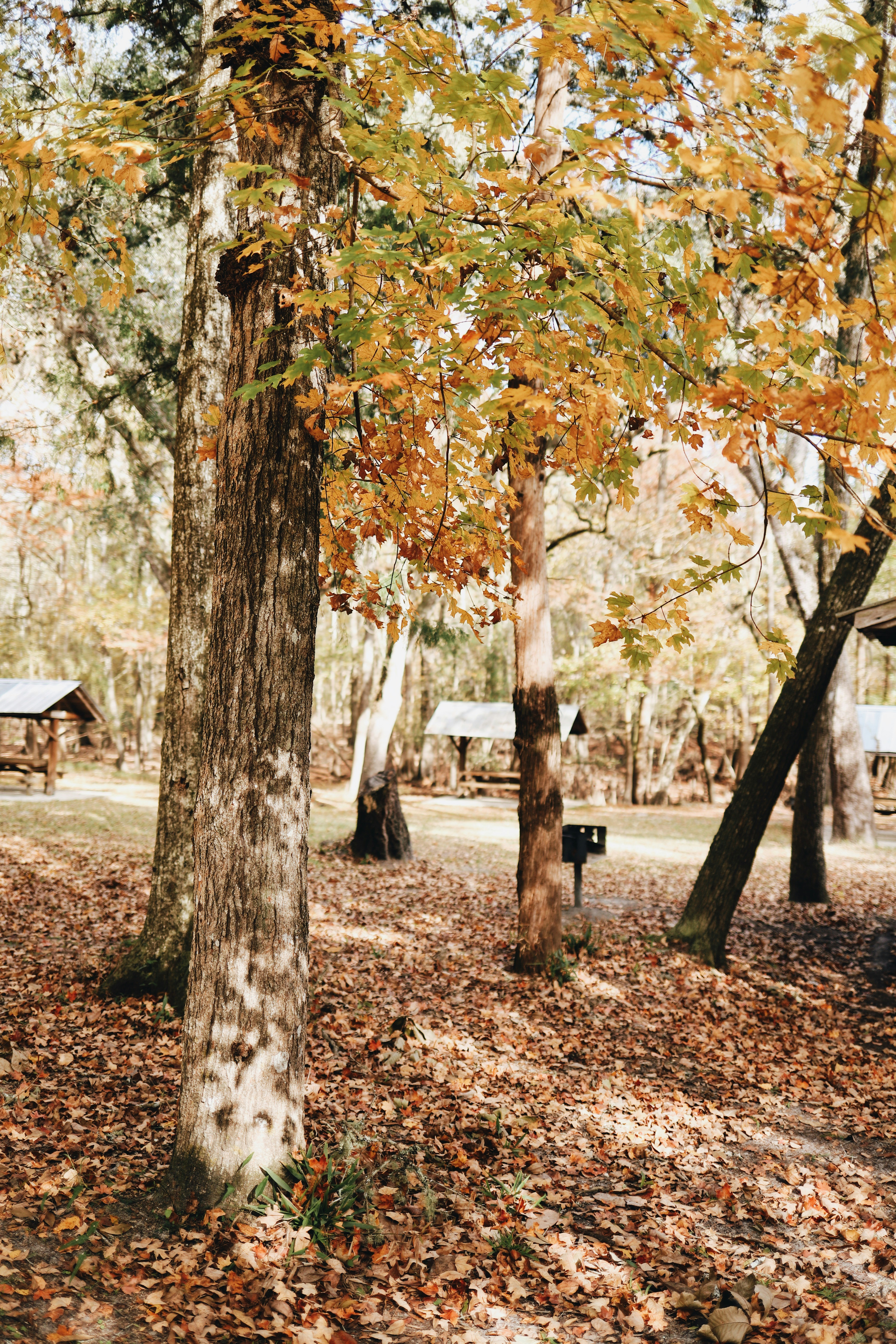 Photo by amyjoyhumphries