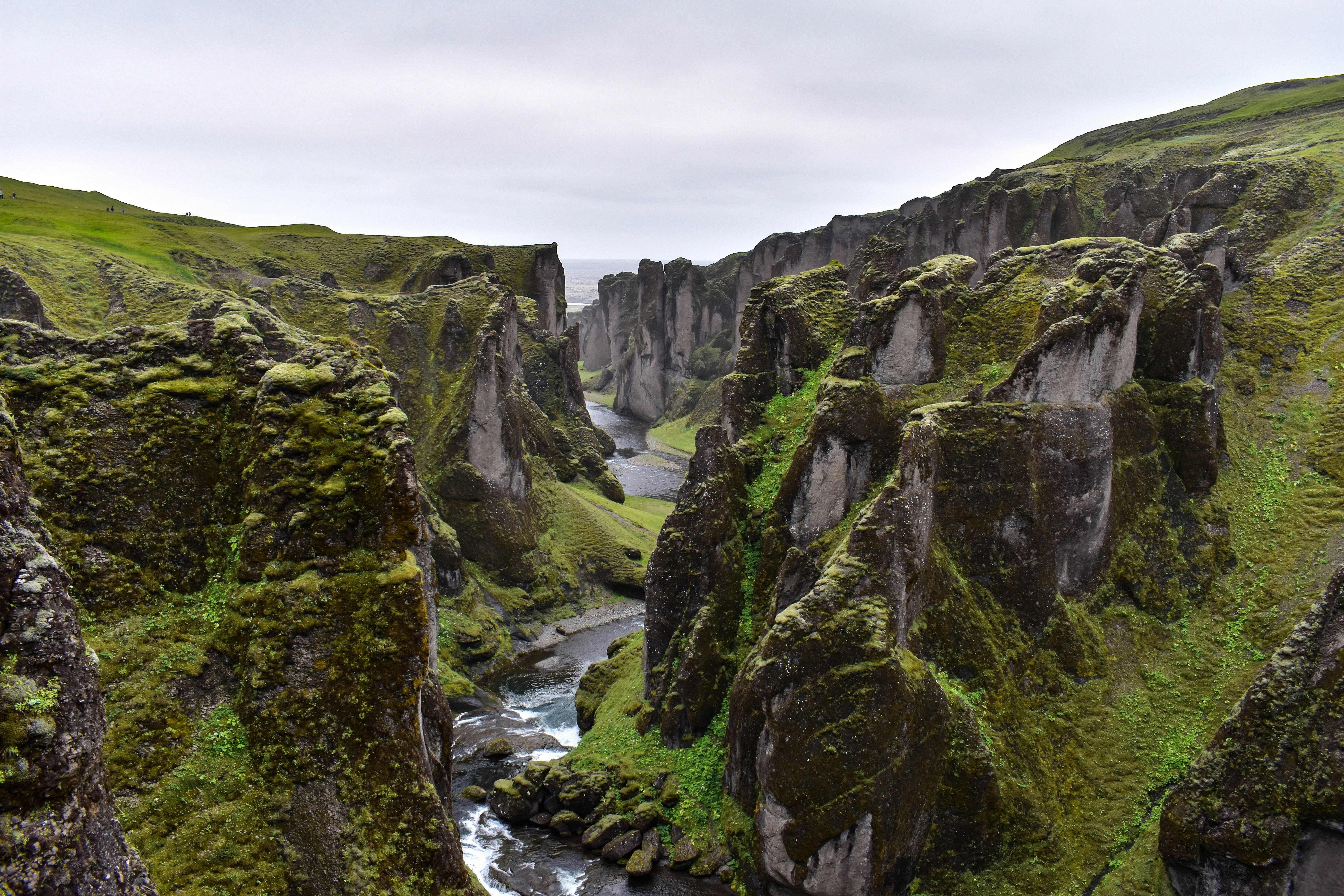 Photo by corrynewooten