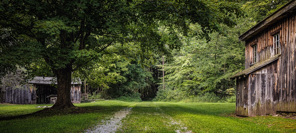 barn, grass field, and trees during day