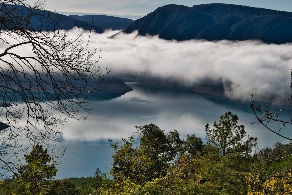 forest, body of water, clouds, and mountains during day