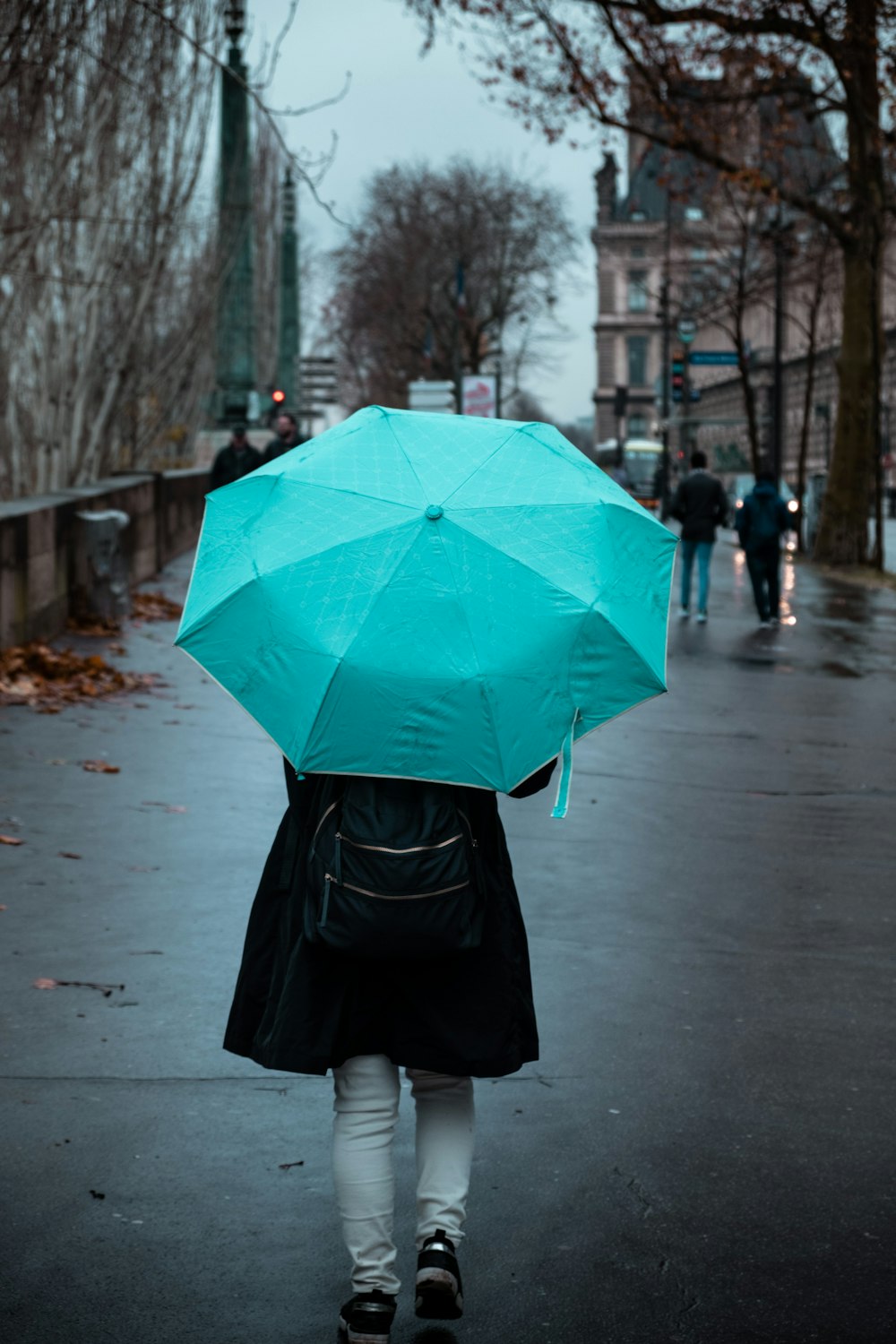 mulher que veste o casaco que transporta a mochila e o guarda-chuva azul