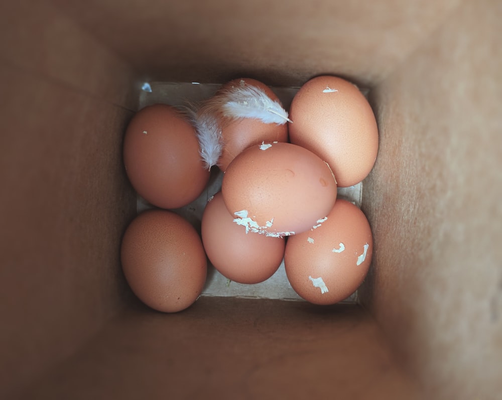 Huevos marrones dentro de la caja