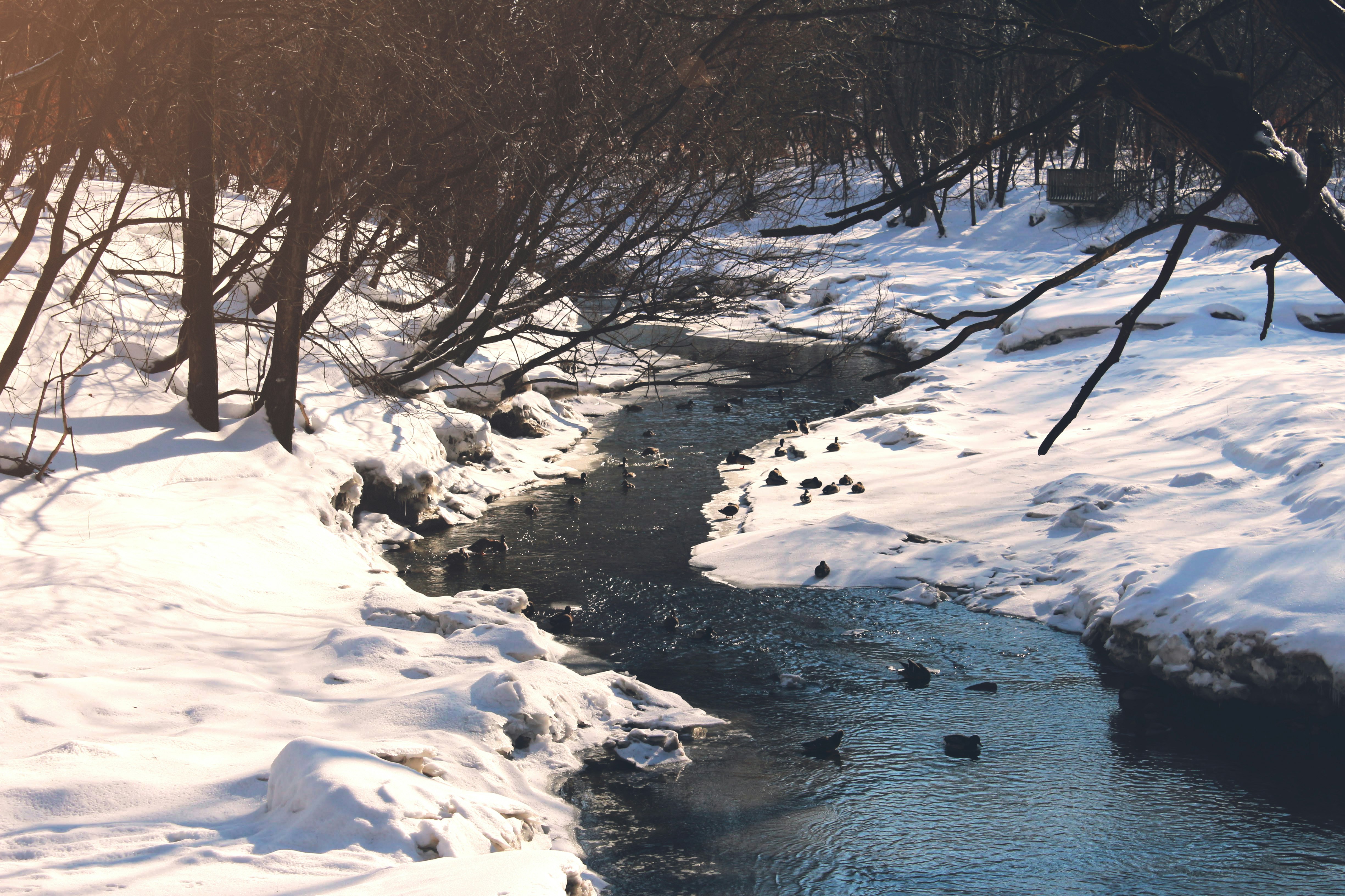 snow covered field beside river