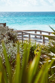 gray wooden pathway with railing on shore during day
