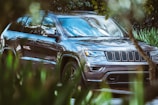 gray Jeep grand Cherokee beside plants on all season maxxis car tyres