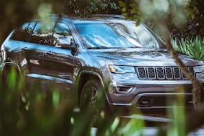 gray Jeep grand Cherokee beside plants on all season maxxis car tyres