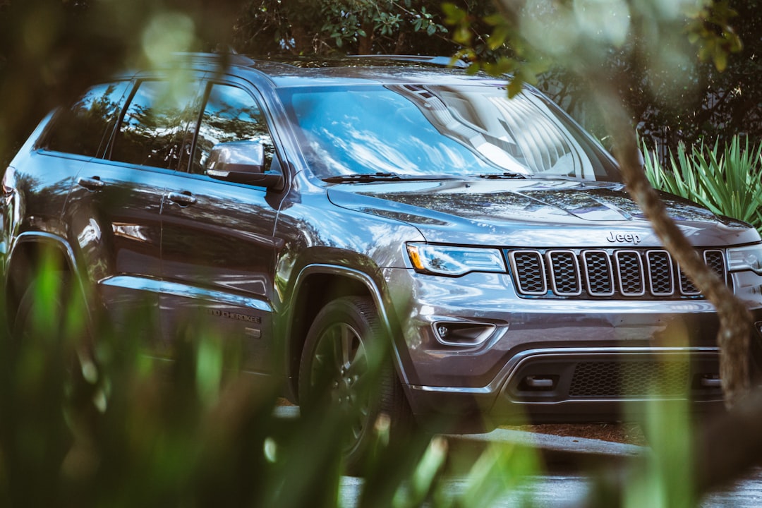 gray Jeep Cherokee beside plants, My new Jeep Grand Cherokee looks good here, surrounded by the tropical landscaping.