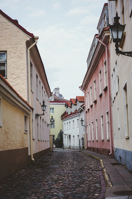 road between buildings during day in Kohtuotsa Viewing platform Estonia