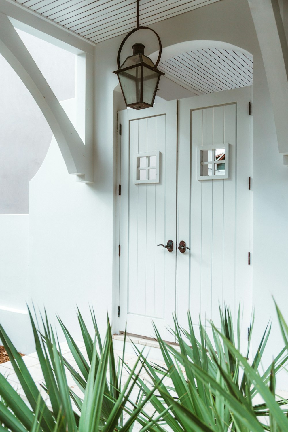 green leafed plant near white wooden door