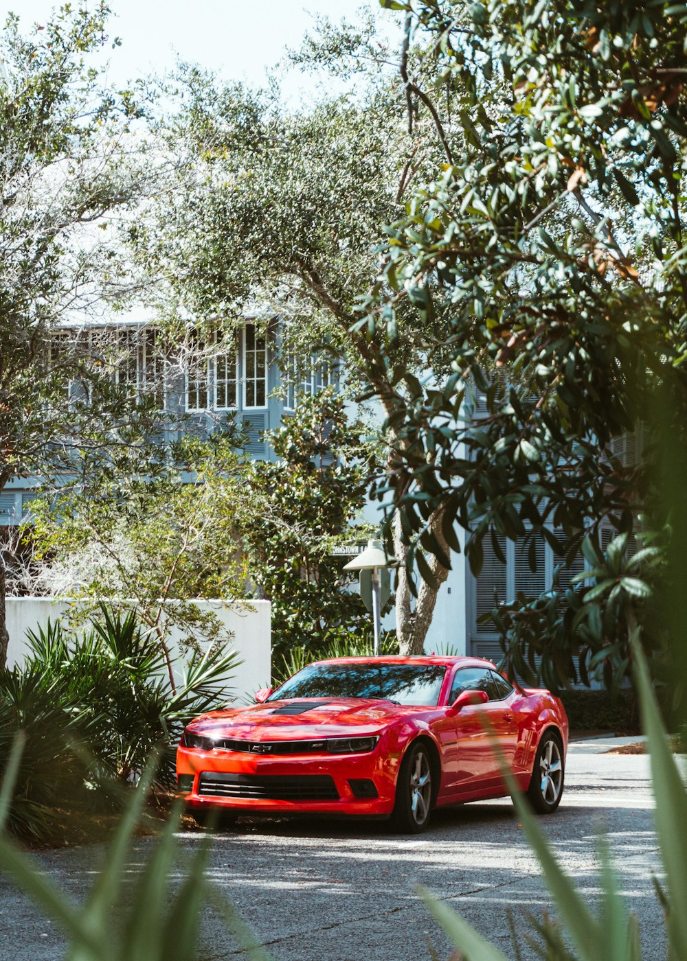 parked red coupe near trees and building