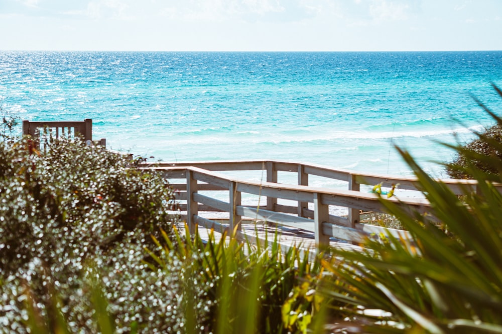 gray wooden pathway with railings near plants on shore during day