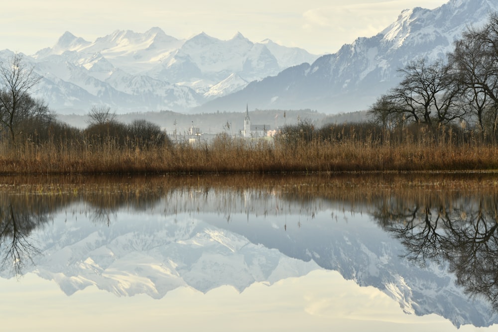 body of water beside plants and trees near mountains