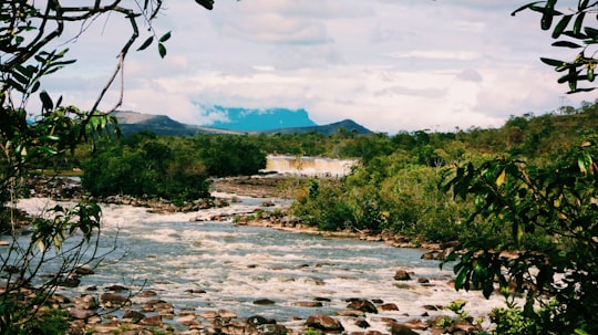 green trees during daytime in Gran Sabana Venezuela