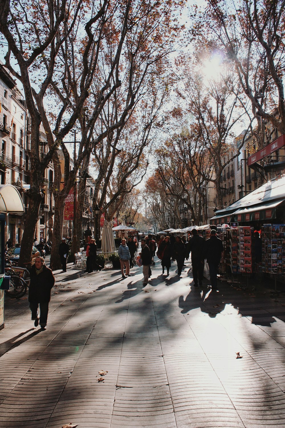 people walking in street with stalls