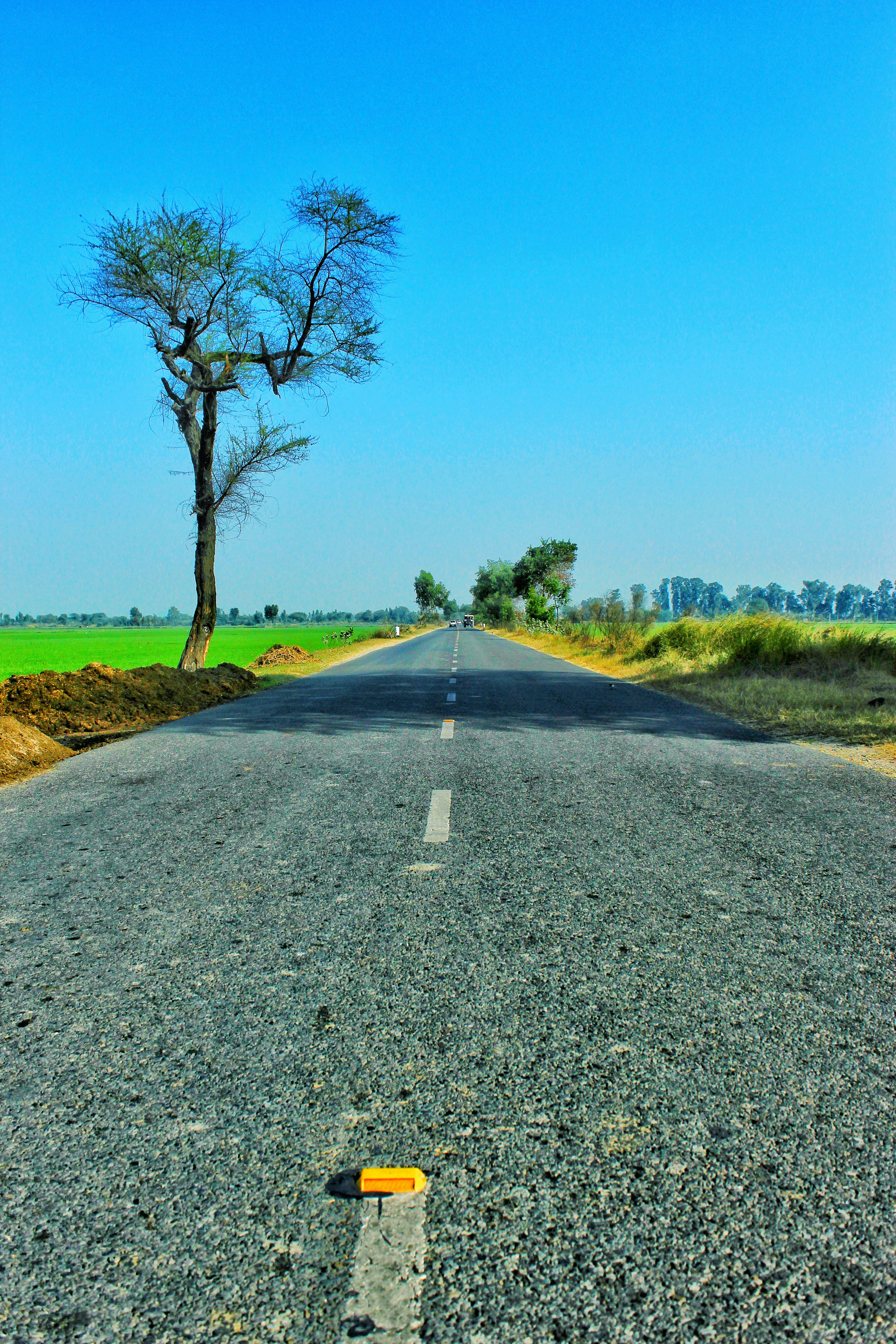 Photo by darpansharma