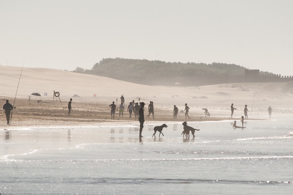 people on shore