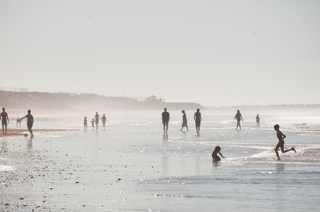 people on seashore during day