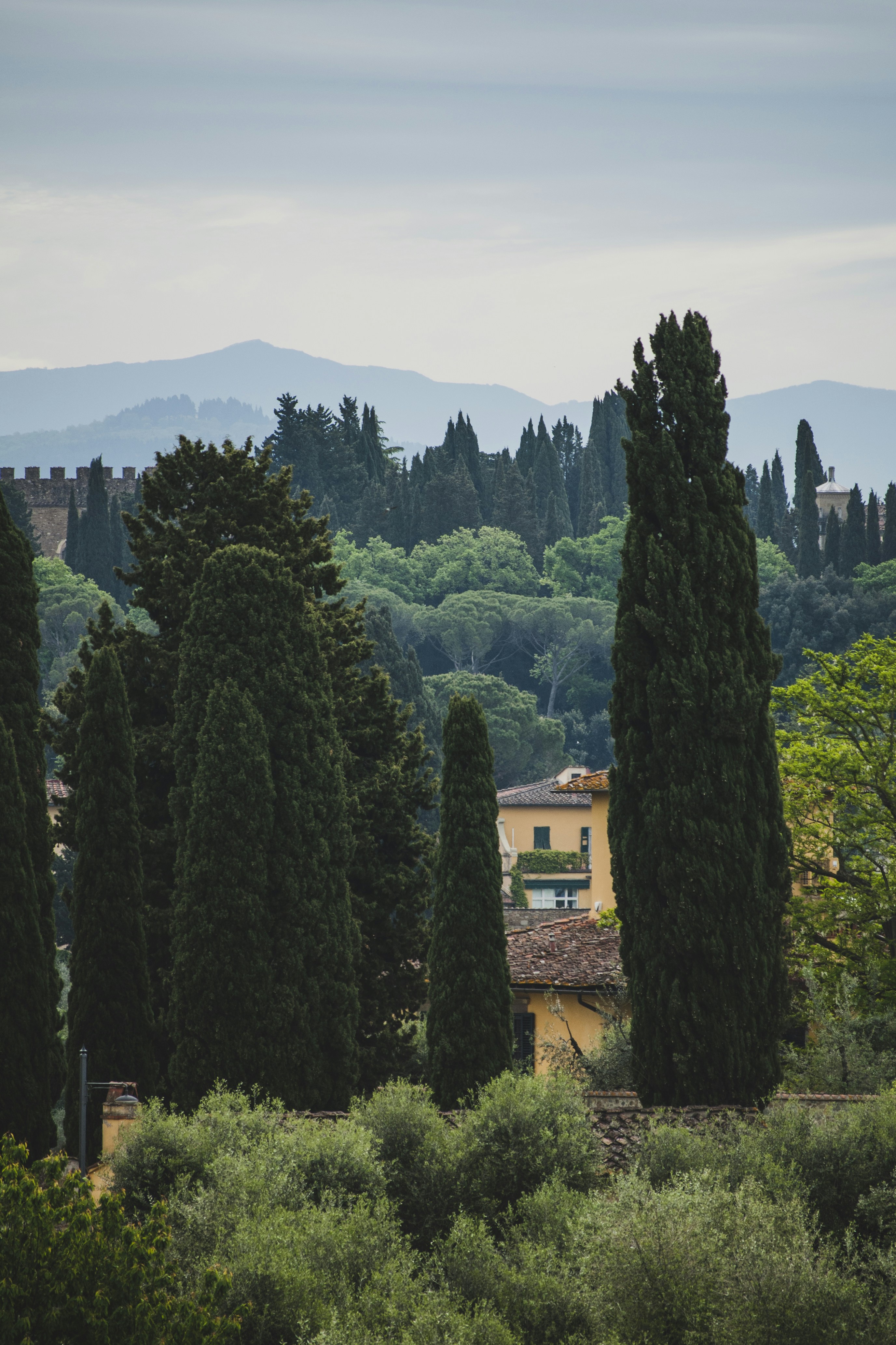 Photo by yuli_superson