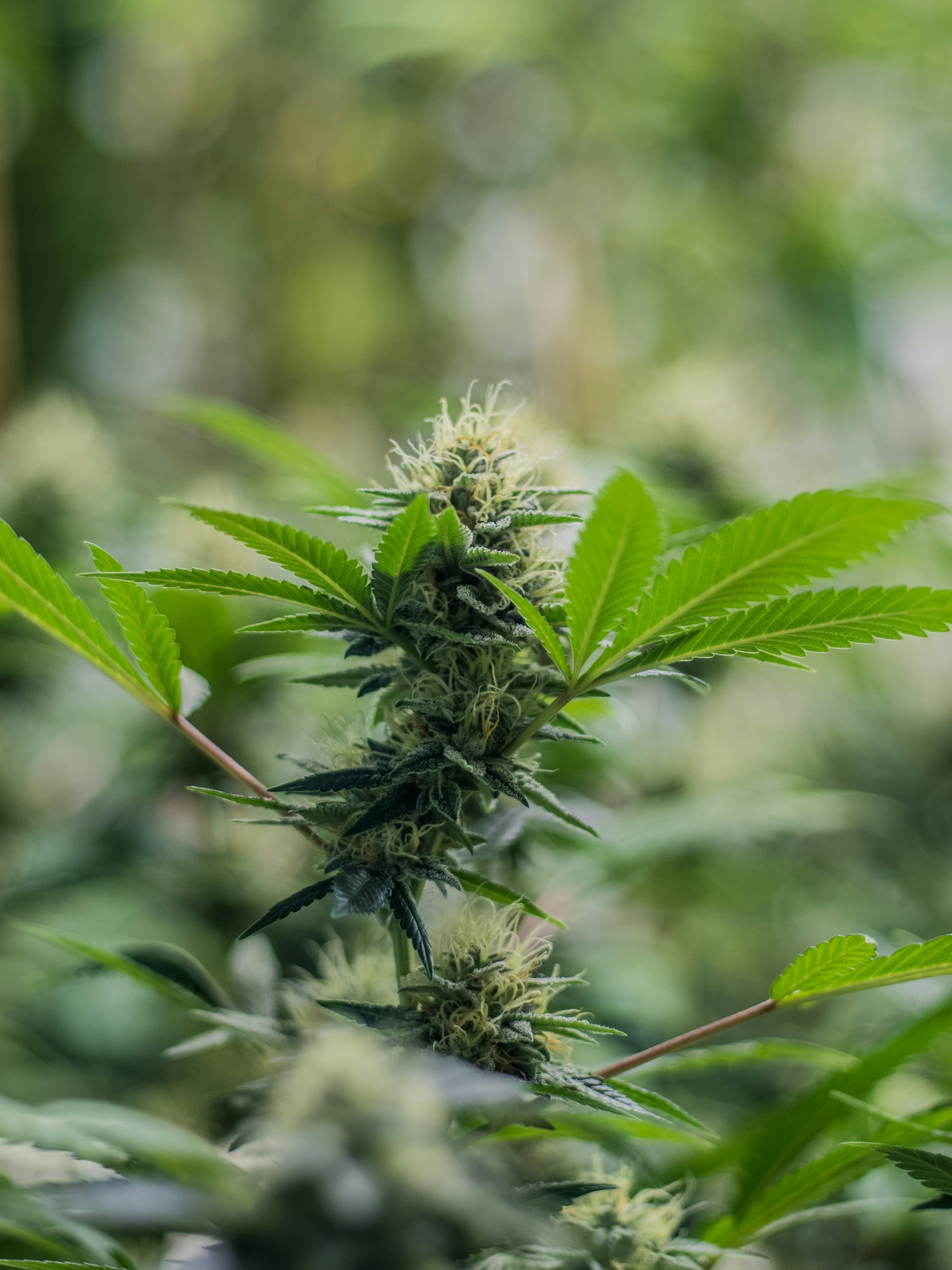 Photo by giobartlett