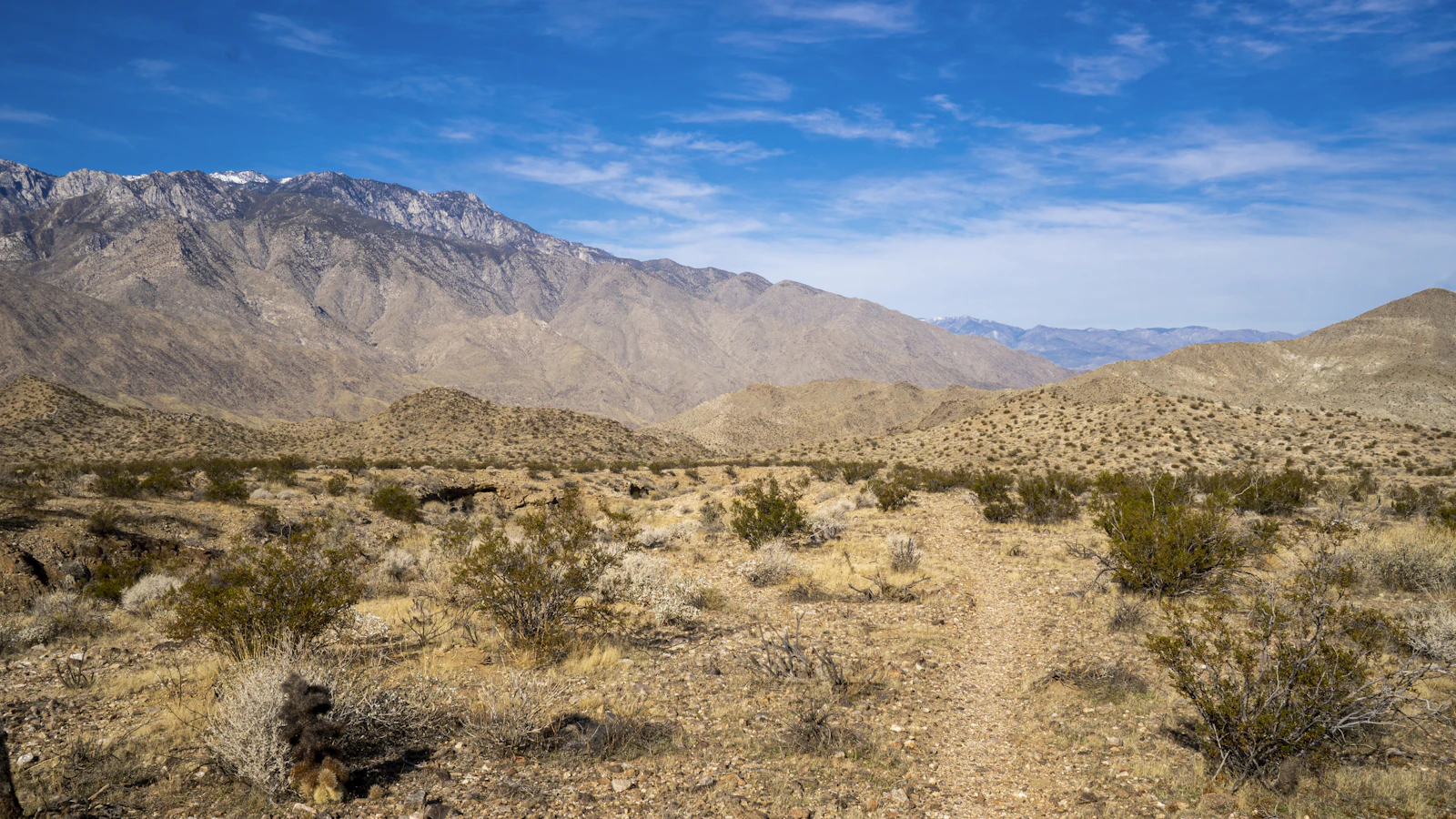 Palm Springs canyon mountain scenery for family desert hiking Clear photo from Unsplash