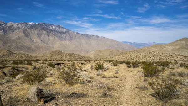 Brown mountain during daytime — Palm Springs, United States