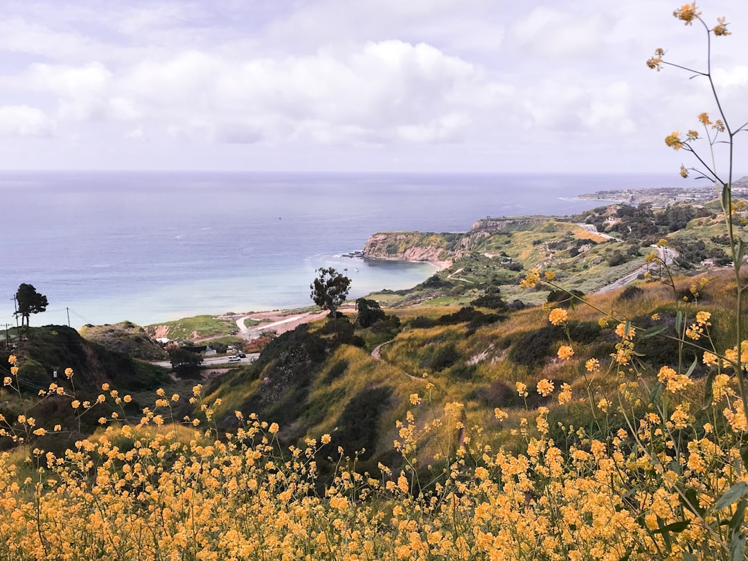 Headland photo spot Palos Verdes San Clemente