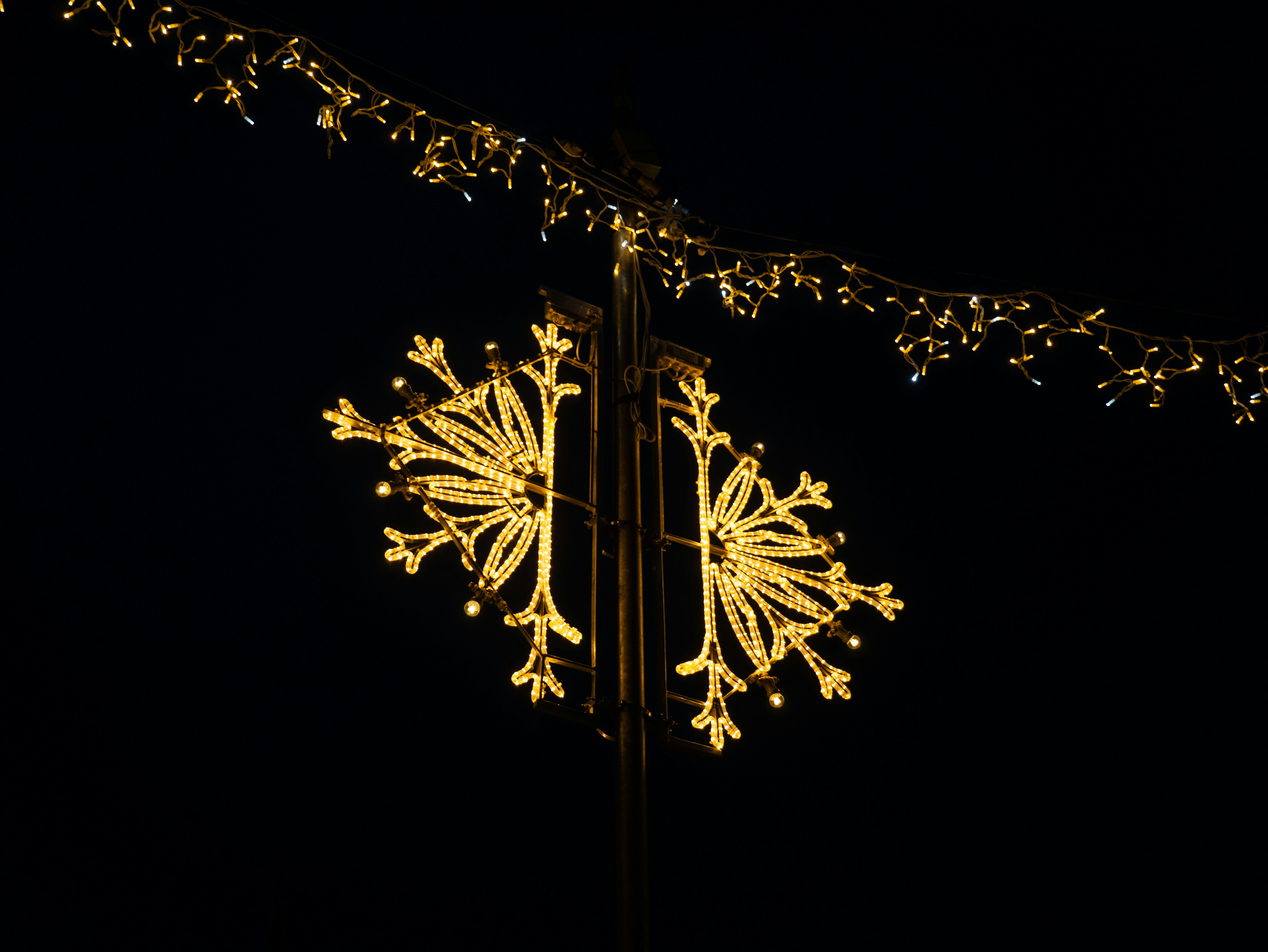 Photo by mattseymour