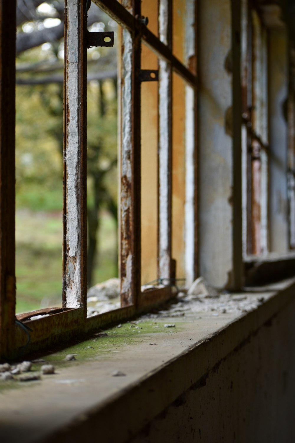 white and brown metal fence