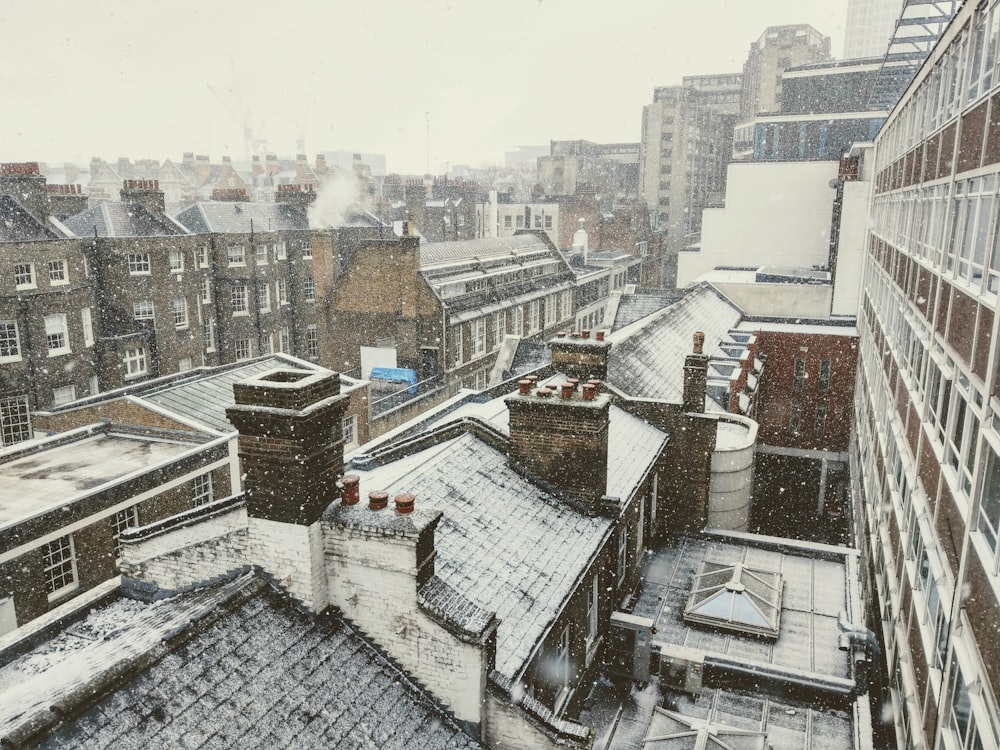 buildings during winter during day