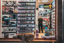 A storefront featuring an assortment of video game consoles, accessories, and game titles arranged neatly on shelves. A person with their back turned is browsing inside the store, while outside, a brown dog walks past the shop window.