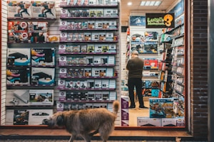 A storefront featuring an assortment of video game consoles, accessories, and game titles arranged neatly on shelves. A person with their back turned is browsing inside the store, while outside, a brown dog walks past the shop window.