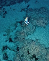 A colorful boat sailing through the crystal-clear waters of Cartagena’s coast.