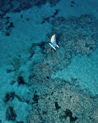 Aerial view of a small sailboat with a colorful sail navigating through crystal-clear turquoise waters over a rocky coral reef.