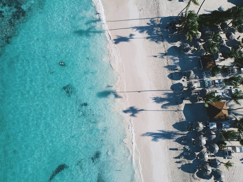 blue water and white sand