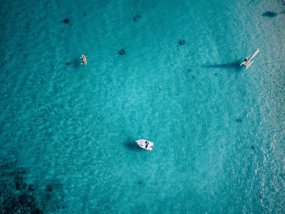 blue water and three boats